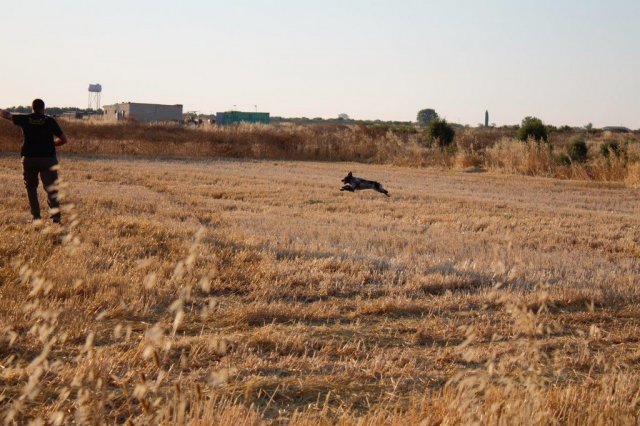 Αγωνες Α.Κ.Ι 18/6/2017